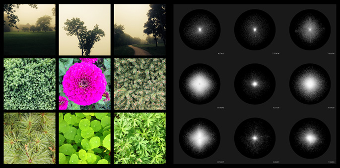A collage with two sections. The left side shows a 3x3 grid of nature photos, including trees, a path, flowers, and plants. The right side has a 3x3 grid of black circles with white, star-like patterns inside, resembling star fields or galaxies.