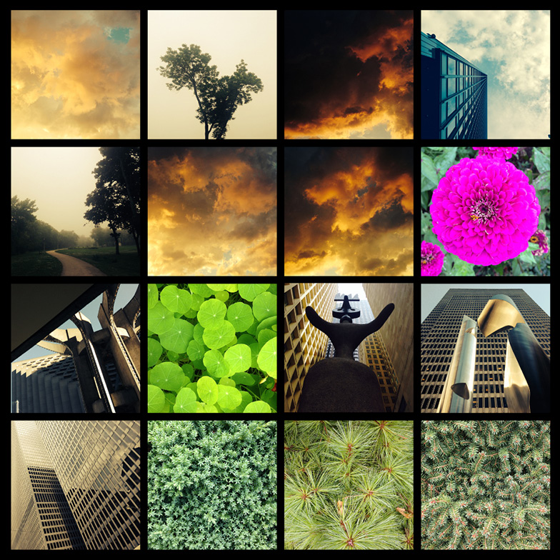 A 4x4 grid of diverse images: fiery sunset clouds, tree at dusk, modern skyscraper, another cloudy sky, morning park path, golden clouds, close-up of pink flower, abstract building interior, green clover field, bull statue, city skyscraper, office towers, dense forest, pine needles, and tall trees from below.