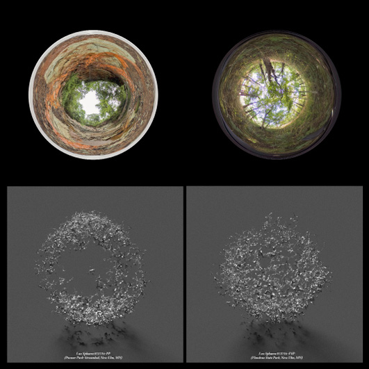 A split image shows two top and bottom rows. The top row features circular photos of a forest viewed upward through a tunnel and a fisheye lens. The bottom row depicts 3D spherical data visualizations related to cosmic evolution and simulation.