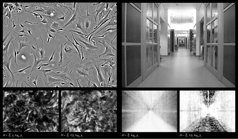 A collage of four grayscale images. Top-left: Microscopic view of cells. Top-right: A hallway in a building. Bottom-left: Two microscopic views of textured surfaces side by side. Bottom-right: Abstract grayscale geometric patterns. Mathematical symbols are below each image.