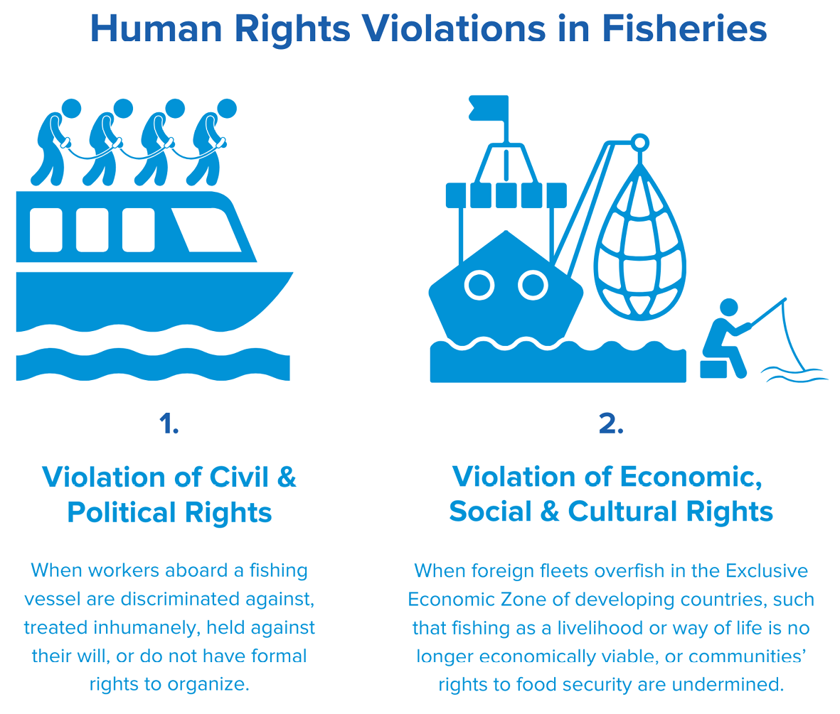 The image titled “Human Rights Violations in Fisheries” is divided into two sections, each with an icon and explanatory text. The first section, labelled “1. Violation of Civil & Political Rights,” features an icon of people tied together on a fishing vessel and describes abuses such as discrimination, inhumane treatment, forced labour, and denial of workers’ rights to organise. The second section, labelled “2. Violation of Economic, Social & Cultural Rights,” shows an icon of a fishing boat with a net and a person fishing, explaining how foreign fleets overfishing in developing countries’ Exclusive Economic Zones undermine livelihoods, economic viability, and food security.