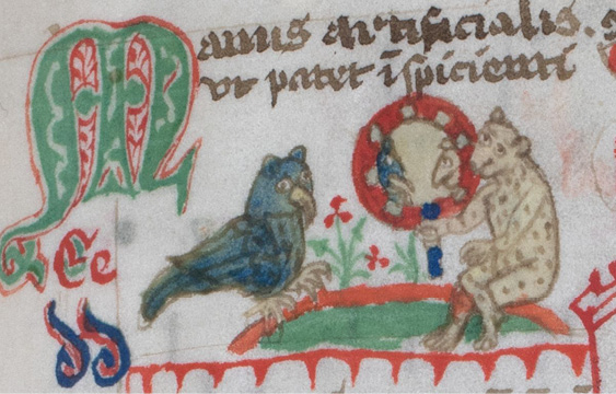 Detail of the right-hand side of the preceding illustration, showing an owl with blue feathers on the left and a monkey with yellow-spotted fur on the right, both looking into a round mirror with a red frame. For an interpretation of the scene see the paragraph directly above.