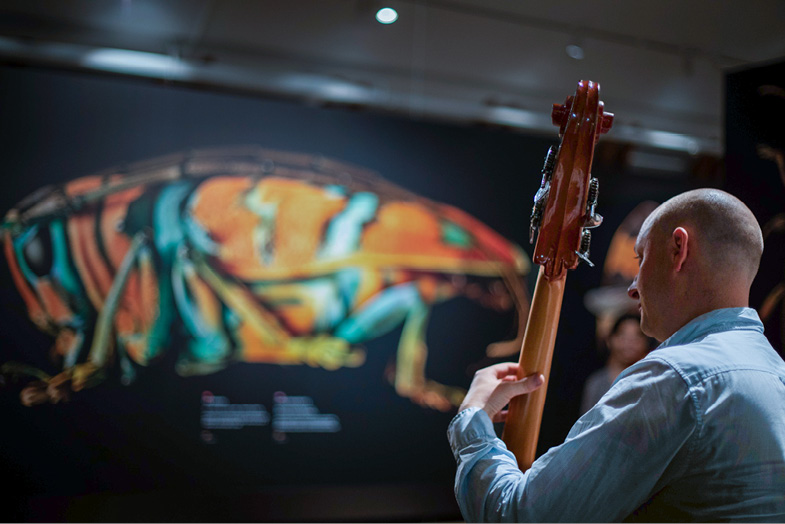 Picture of Double bass player