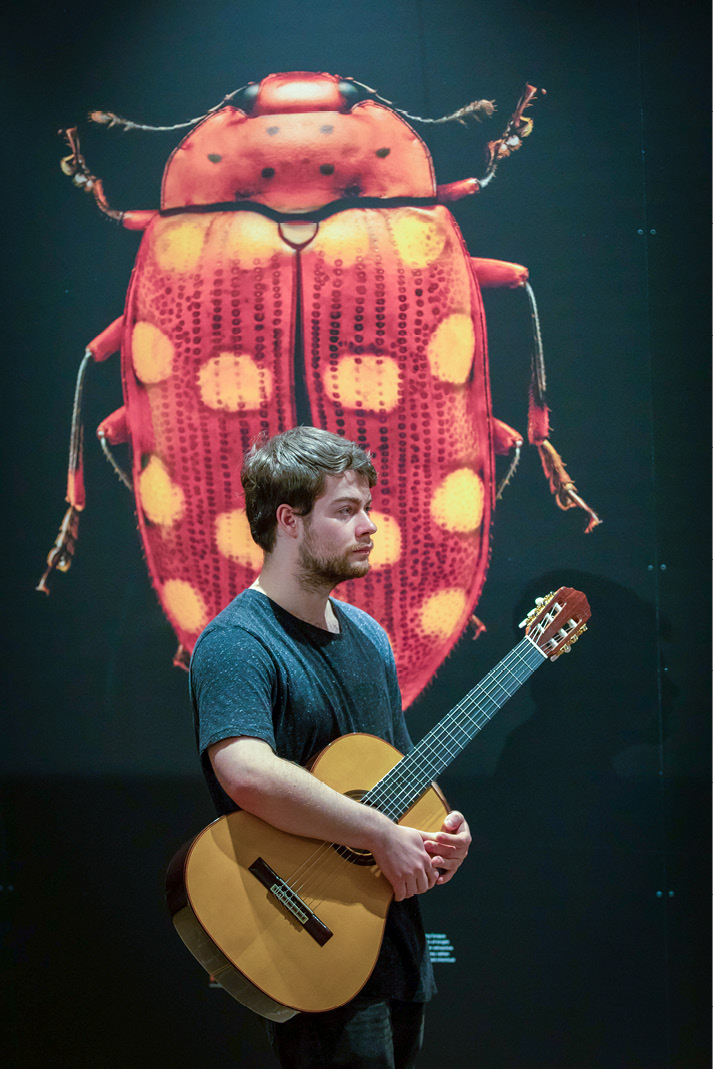 Picture of guitar player