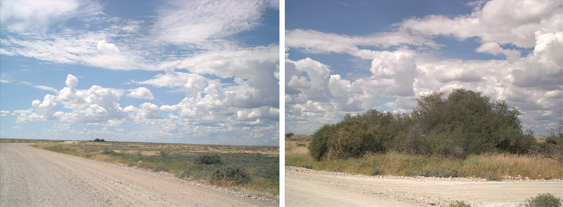 ǂAro!gara!garases from afar on the left, and at the place on the right