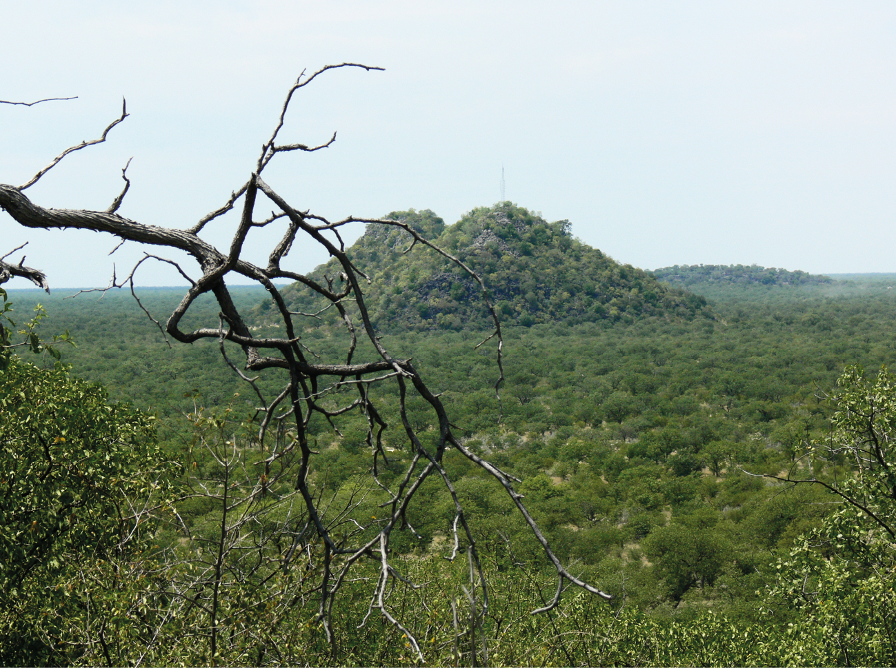 The hills ǁKhumub and |Nuaiseb viewed from Halali tourist camp.