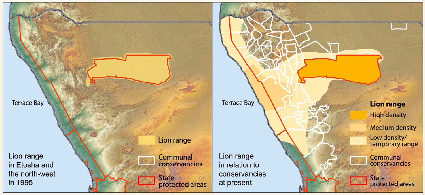 Maps showing lion range expansion in north-west Namibia, 1995–2015.