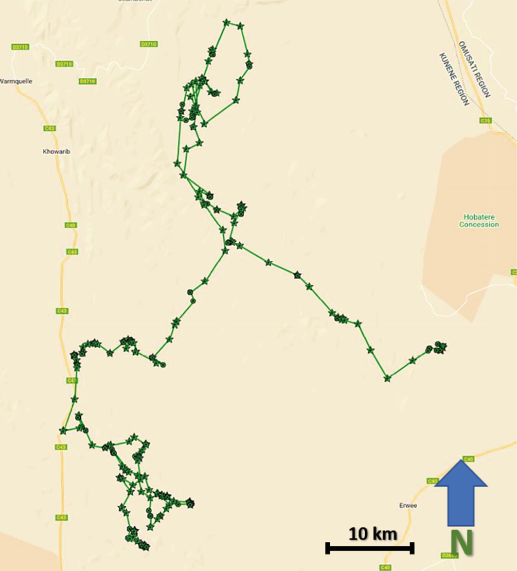 Map showing visualised GPS-satellite collar data illustrating the movements of a monitored male lion in Anabeb, Omatendeka, Ehi-Rovipuka, and ǂKhoadi-ǁHôas conservancies.