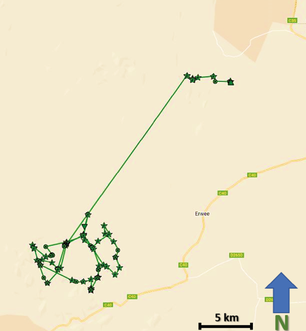 Map showing visualised GPS/satellite collar data of a male lion translocation in north-west Namibia.