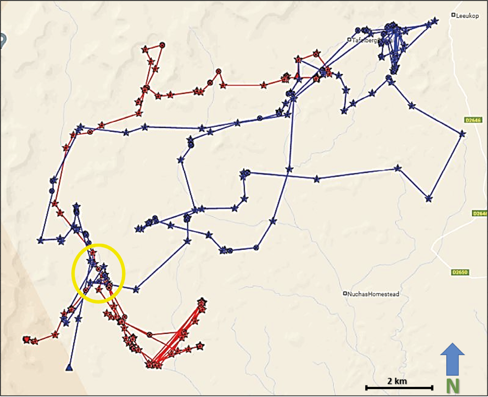 Map showing visualised GPS/satellite collar locations of two male lions known as OPL-3 and NPL-28 in ǂKhoadi-ǁHoas Conservancy.
