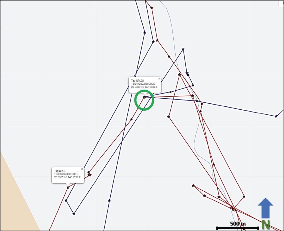 Map showing visualised GPS/satellite collar locations of two male lions known as OPL-3 and NPL-27 in ǂKhoadi-ǁHoas Conservancy, at later dates.