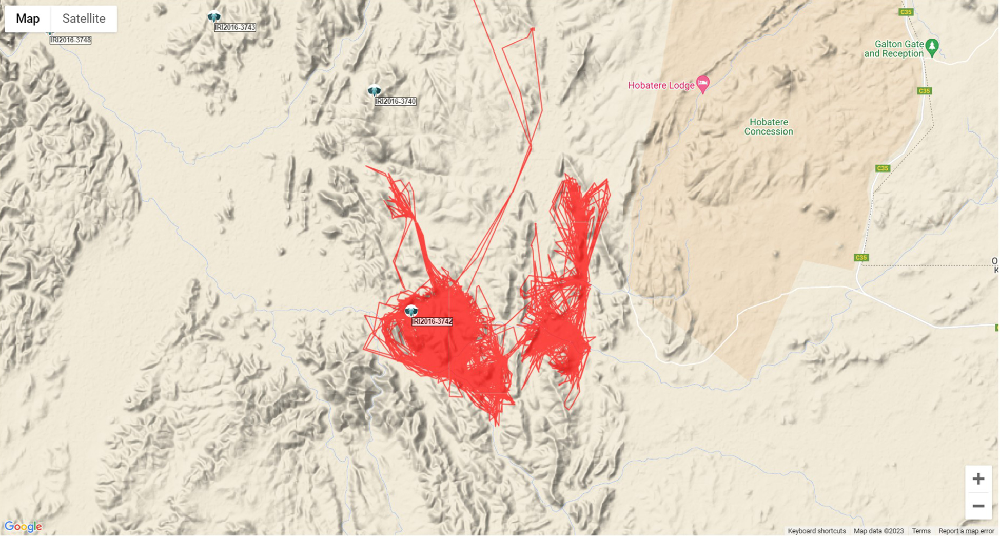 Map showing movement data for a collared goat.