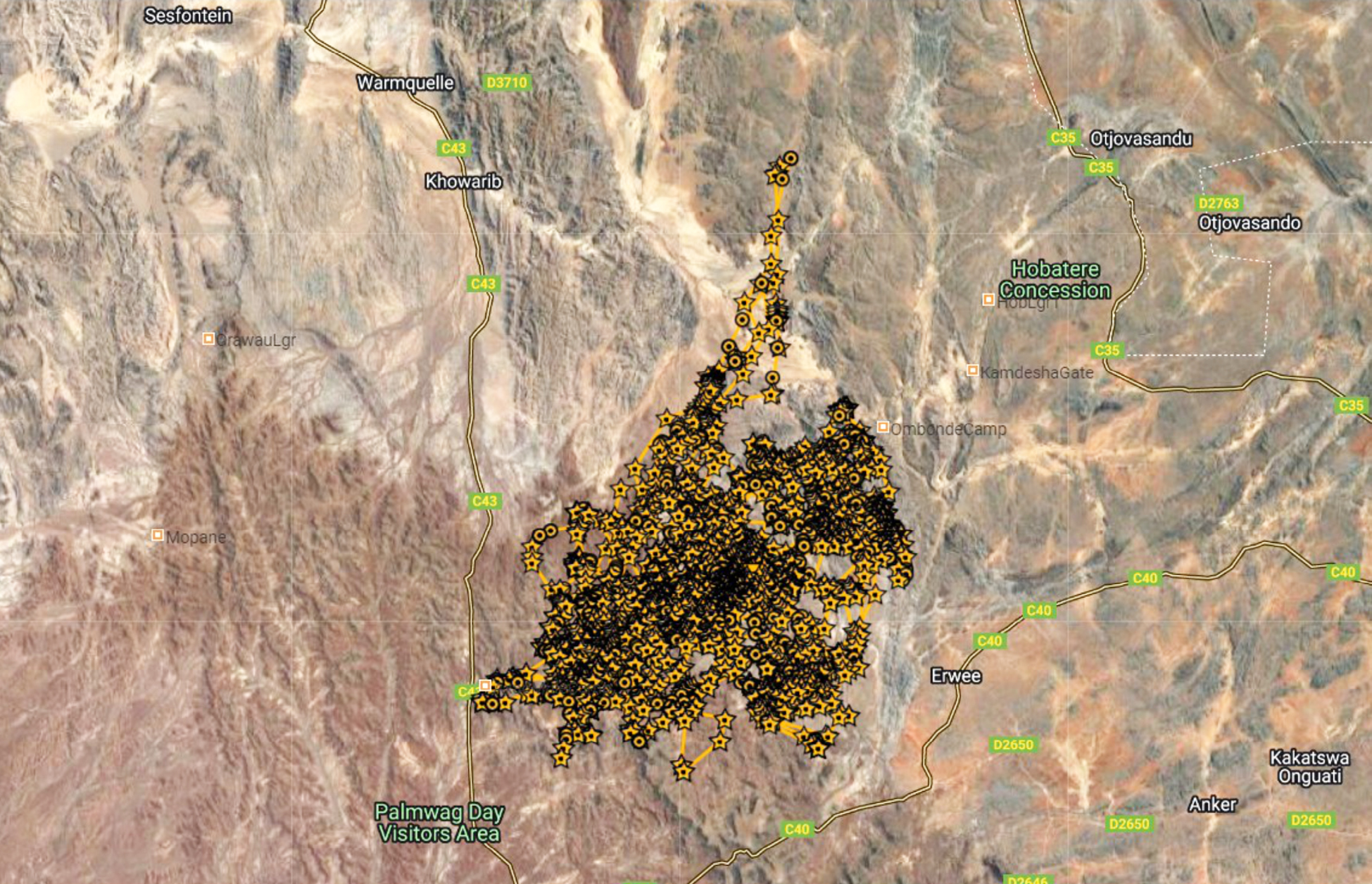 Map showing movement data of a collared lion.