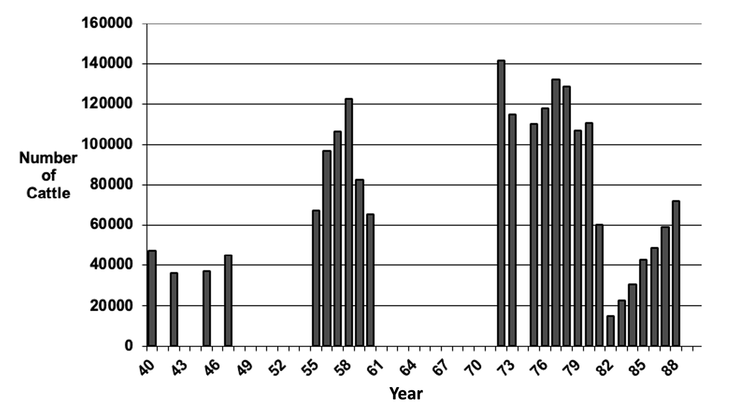Graph showing the dynamics of cattle herds in Kaokoveld between 1940 and 1990.