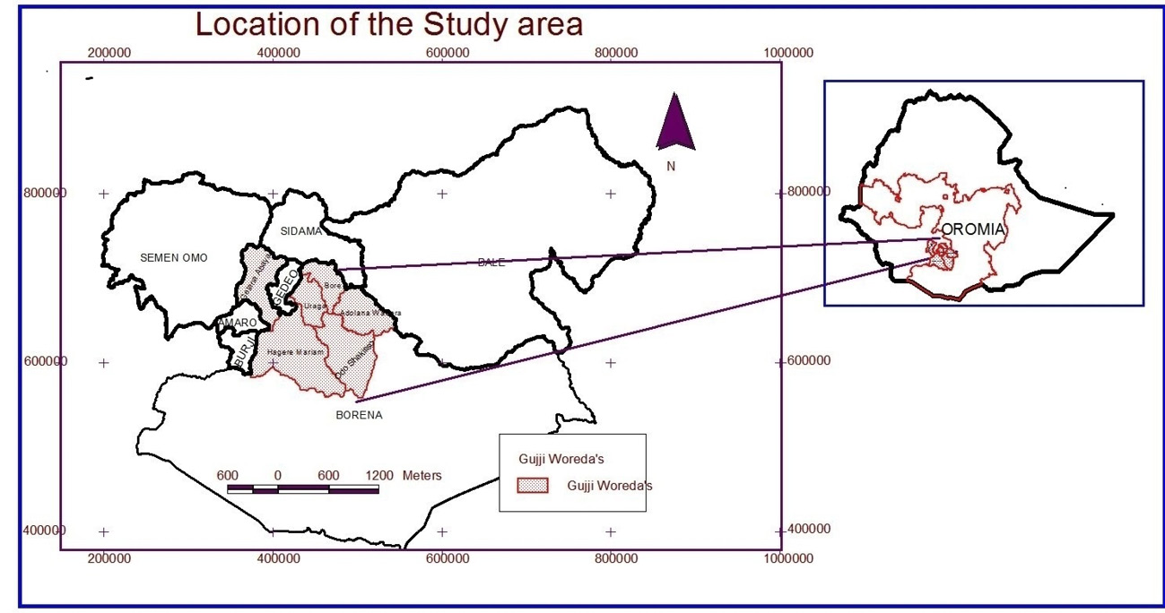 Map showing the woredas (administrative divisions) where the author conducted fieldwork among the Guji in the Oromia regional state