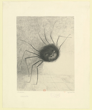 Odilon Redon’s Smiling Spider is a big round furry ball with enormous eyeballs rolling upwards, huge nostrils, and a predatory mouth. Ten thin spidery legs stick out of its body and run along a wall in indeterminate space.