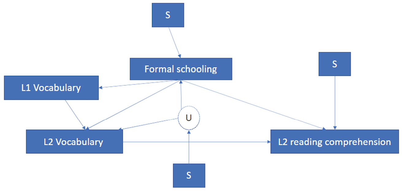 A diagram highlighting relationships between formal schooling, vocabulary development in the first and second languages (L1 and L2), and reading comprehension in L2, showing various influences and directions of interaction.