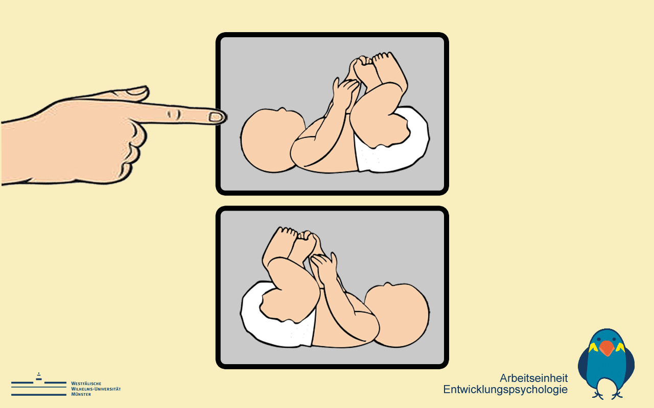 An illustration showing a baby's motor development. The top panel shows a baby lying on its back with its hands near its feet. The bottom panel shows the baby lifting its legs further towards its face, indicating physical progression.