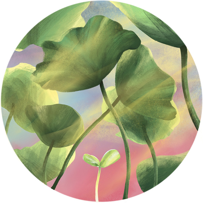 Upward view through translucent green lily‑pad leaves with a lone sprouting seedling below, set against a misty pink and yellow dawn sky.
